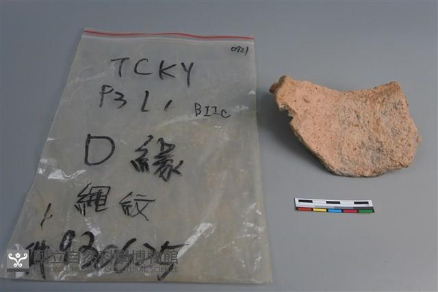 陶片藏品圖，第4張