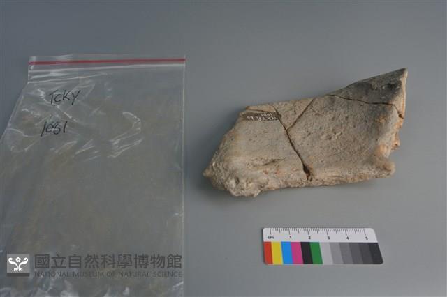 陶片藏品圖，第4張