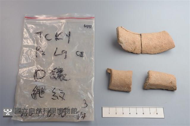 陶片藏品圖，第4張