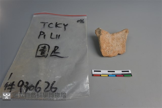 陶片藏品圖，第4張