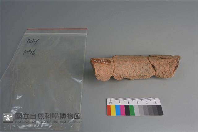 陶片藏品圖，第4張