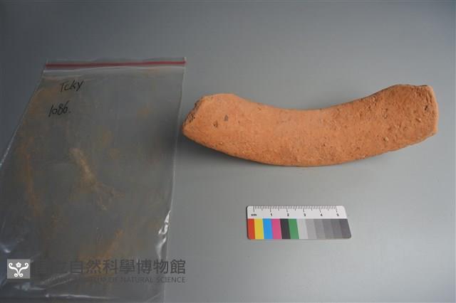 陶片藏品圖，第4張