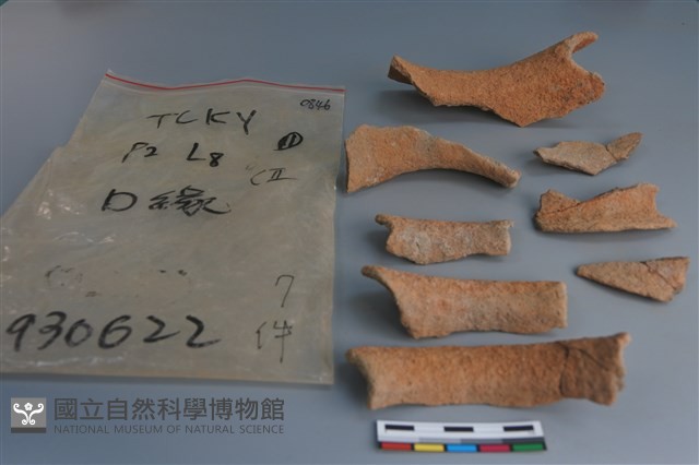 陶片藏品圖，第4張