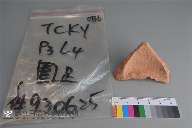 陶片藏品圖，第4張