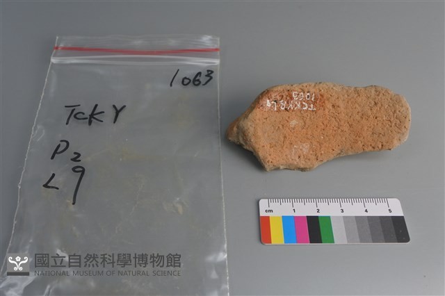 陶片藏品圖，第4張
