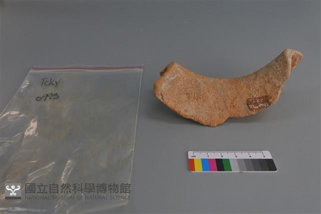 陶片藏品圖，第4張