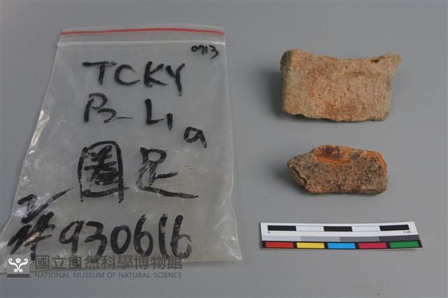 陶片藏品圖，第4張