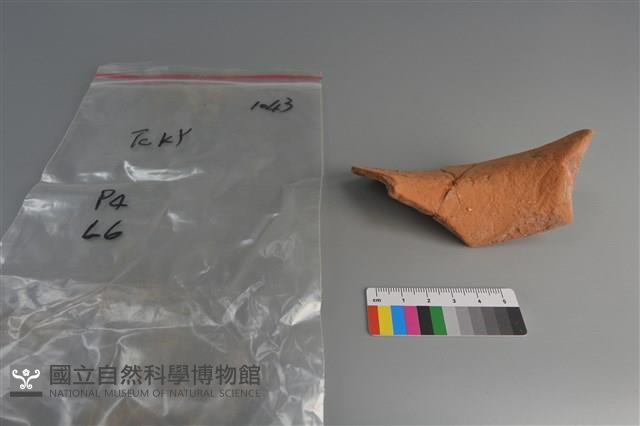 陶片藏品圖，第4張