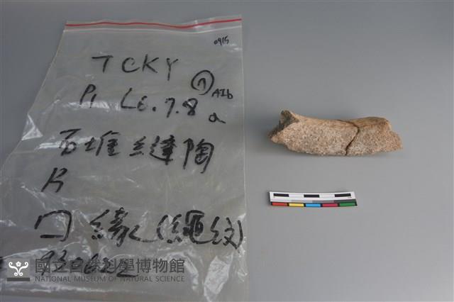 陶片藏品圖，第4張