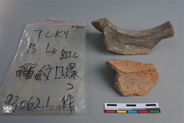 陶片藏品圖，第4張