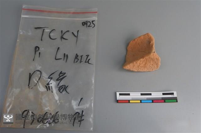 陶片藏品圖，第4張