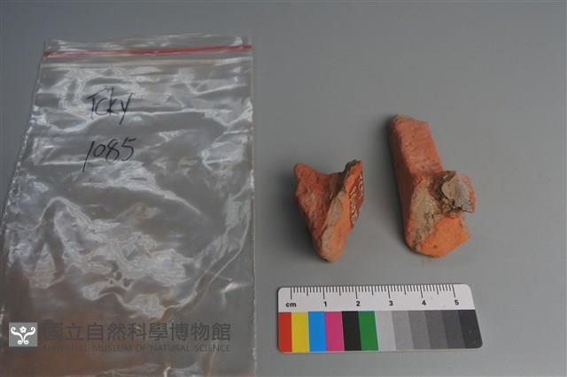 陶片藏品圖，第4張