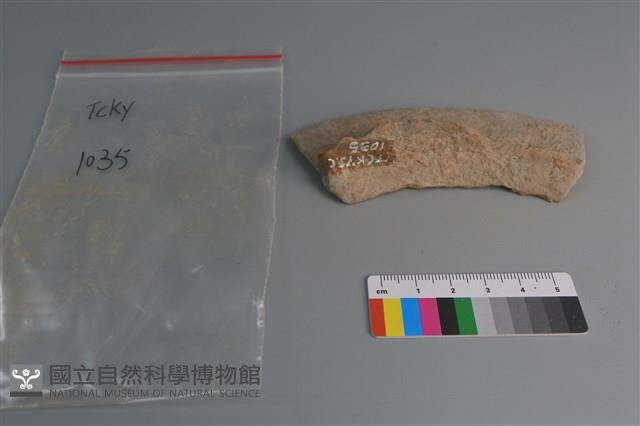 連杯形器藏品圖，第4張