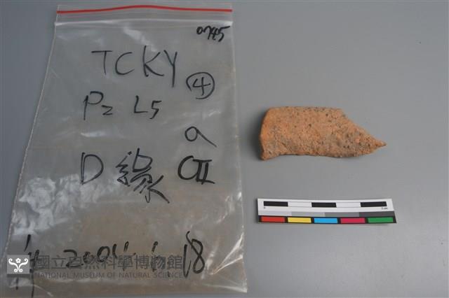 陶片藏品圖，第4張