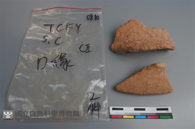 陶片藏品圖，第4張