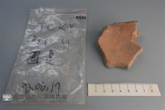 陶片藏品圖，第4張