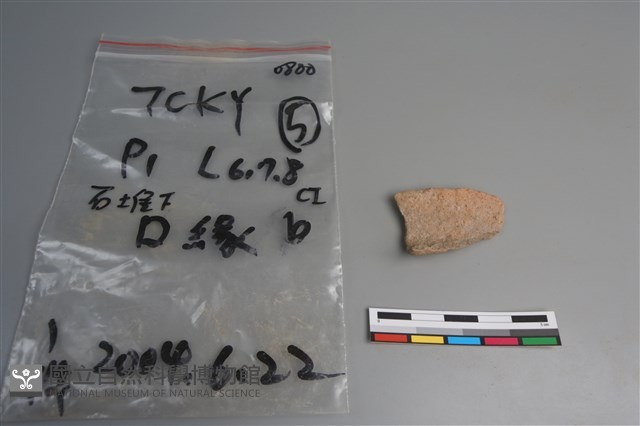 陶片藏品圖，第4張