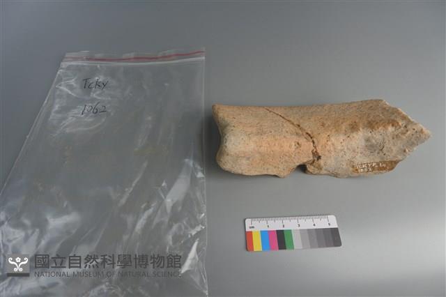 陶片藏品圖，第4張