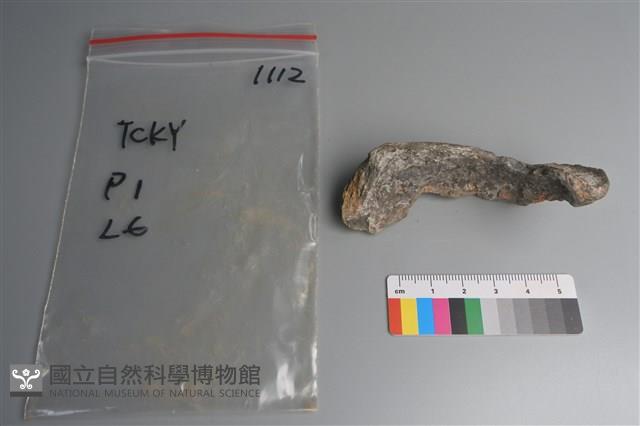 連杯形器藏品圖，第4張