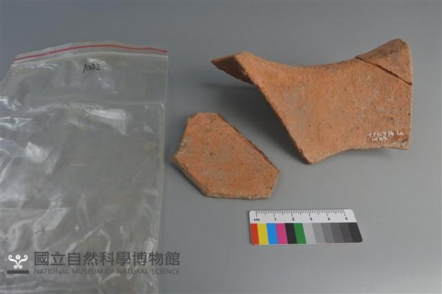 陶片藏品圖，第4張