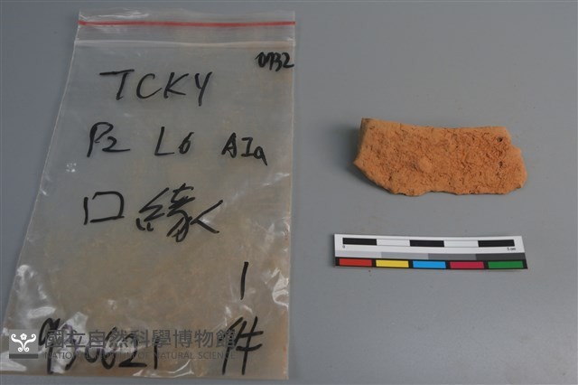 陶片藏品圖，第4張