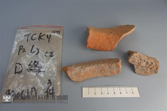 陶片藏品圖，第4張