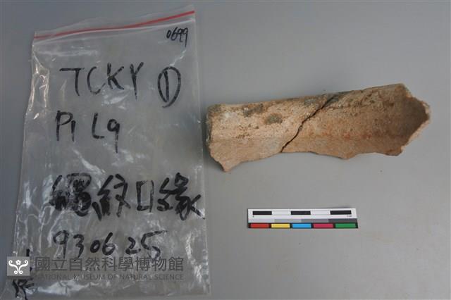 陶片藏品圖，第4張