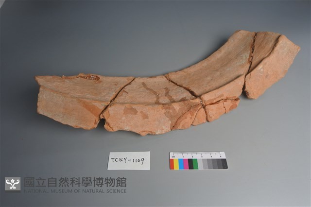 陶盆藏品圖，第4張