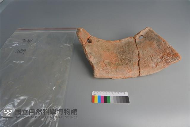 陶片藏品圖，第4張