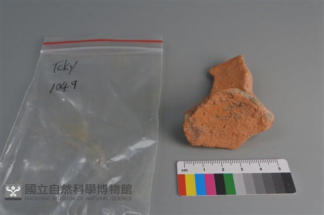 陶片藏品圖，第4張