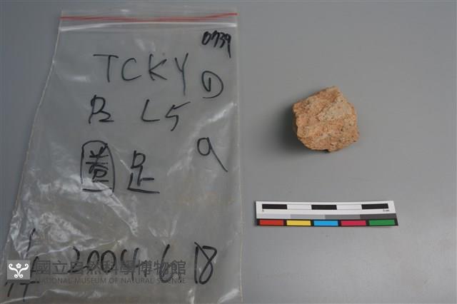 陶片藏品圖，第4張