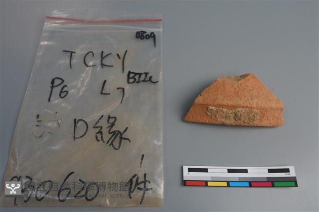 陶片藏品圖，第4張