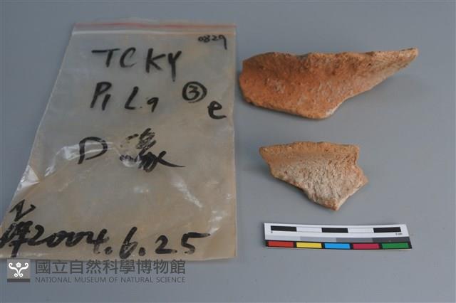 陶片藏品圖，第4張