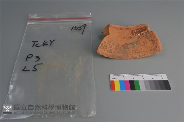 陶片藏品圖，第4張