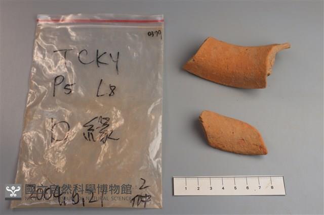 陶片藏品圖，第4張