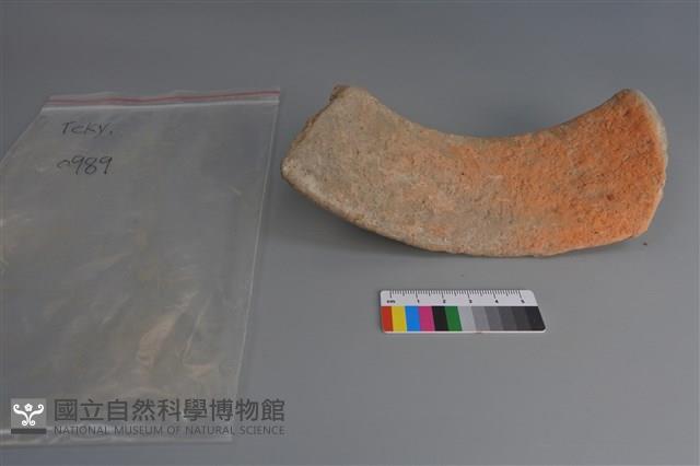 陶片藏品圖，第4張