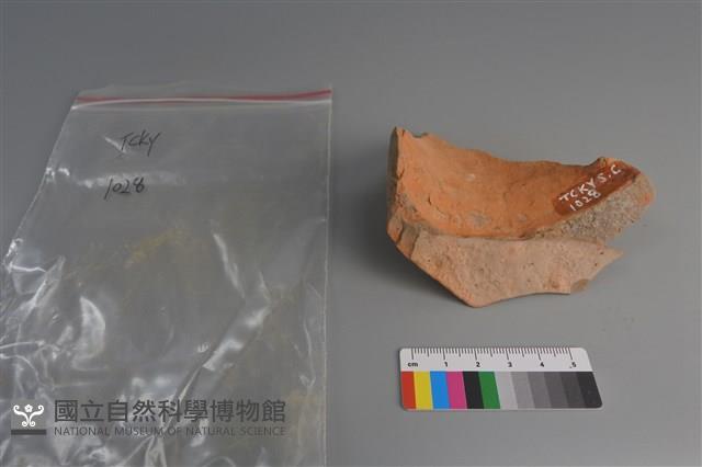 陶片藏品圖，第4張