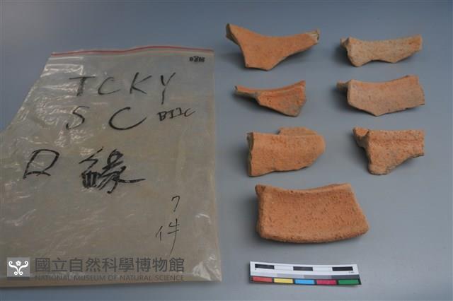 陶片藏品圖，第4張