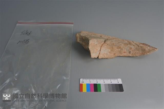 連杯形器藏品圖，第4張