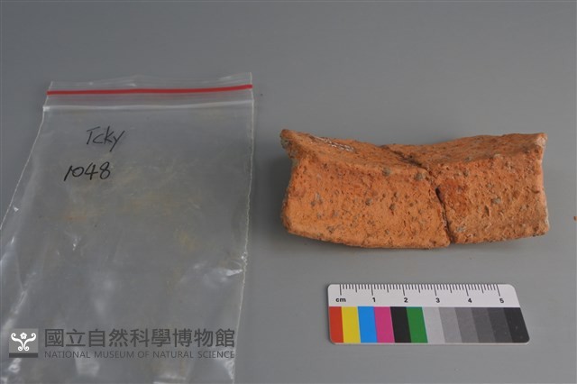 陶片藏品圖，第4張