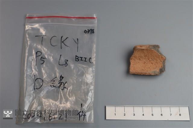 陶片藏品圖，第4張