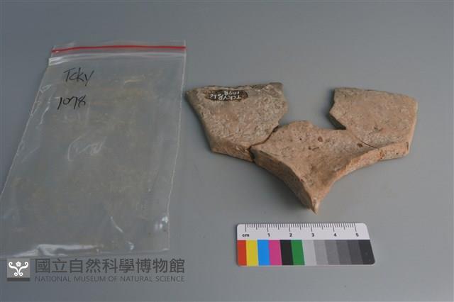 連杯形器藏品圖，第4張