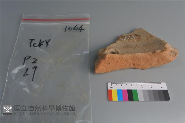 陶片藏品圖，第4張