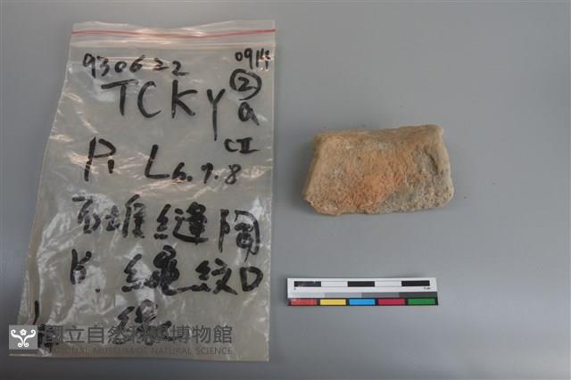 陶片藏品圖，第4張