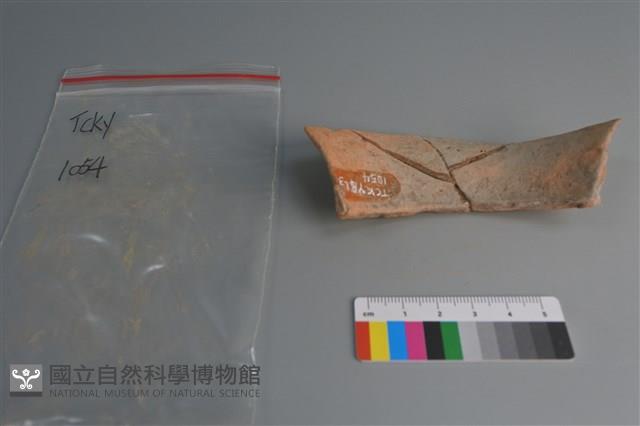 陶片藏品圖，第4張