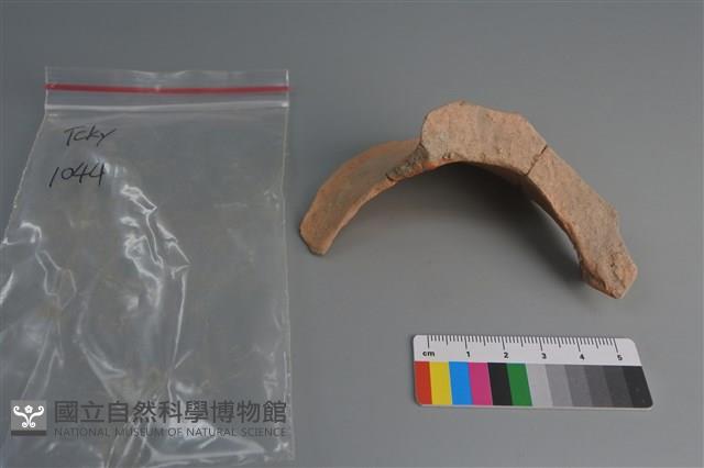 陶片藏品圖，第4張