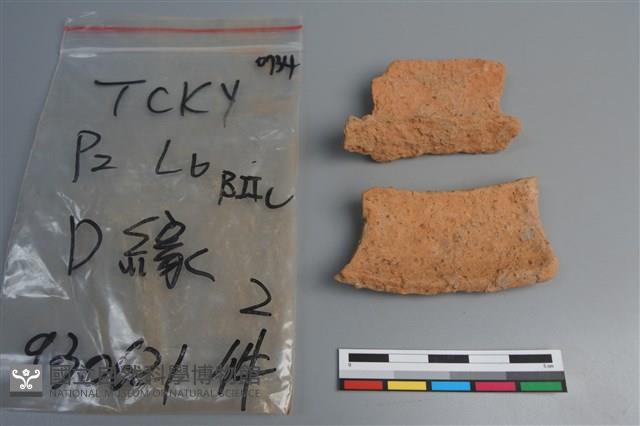 陶片藏品圖，第4張