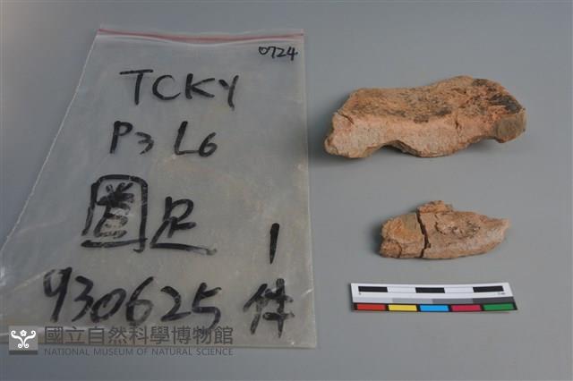 陶片藏品圖，第4張