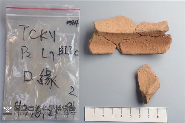 陶片藏品圖，第4張