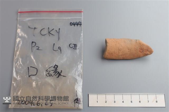 陶片藏品圖，第4張